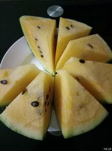 吃瓜论坛母子